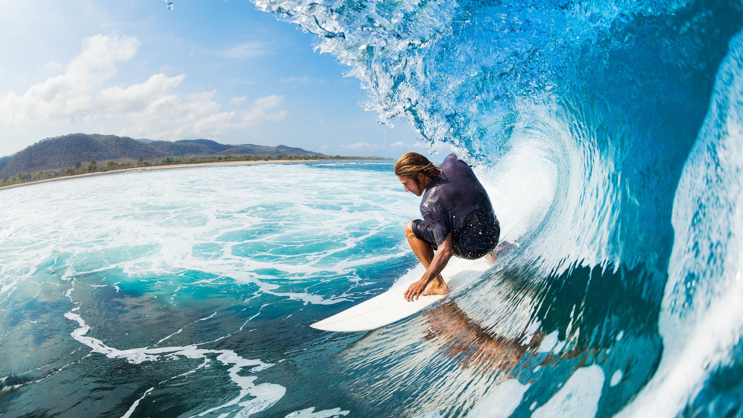 德国马术协会推出马术运动员心理辅导项目，提升竞技表现。，德式马术体系